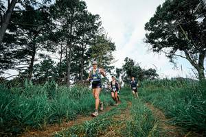 BIB: 
                            <button type="button" onclick="openModal(26028456)" class="btn btn-primary btn-sm float-right btn-popup" data-toggle="modal" data-target=".modal-high-quality">
                        <i class="fas fa-shopping-cart"></i> Add to Cart
                    </button>
                                            <button type="button" onclick="isThisMe(26028456, true)" class="btn btn-success btn-sm float-right btn-popup btn-isme hidden" data-toggle="tooltip" data-placement="bottom" title="นี่คือรูปของคุณใช่ไหม คลิกที่นี่เพื่อเอาเข้าอัลบั้ม">
                        <i class="fas fa-plus"></i> Add to album
                    </button>
                    <button type="button" onclick="isThisMe(26028456, false)" class="btn btn-warning btn-sm float-right btn-popup btn-isnotme hidden">
                        <i class="fas fa-ban"></i> Remove from album
                    </button>